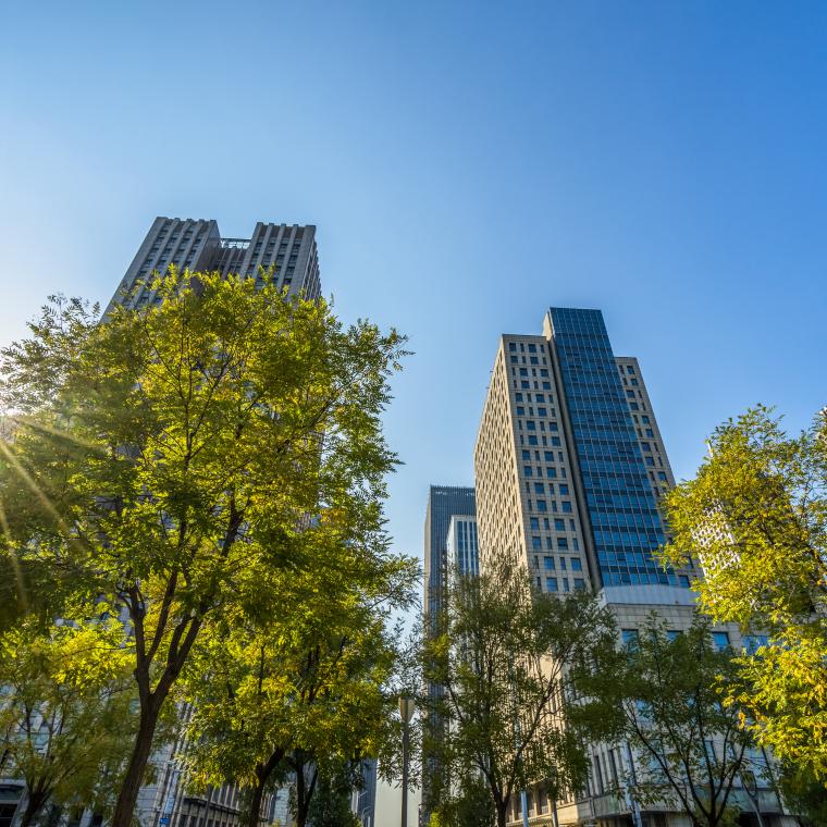 Buildings and trees with the sun bursting through
