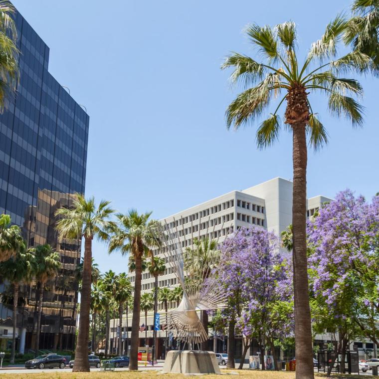 California’s new Venture Capital Diversity Reporting Law: What VC firms must know now