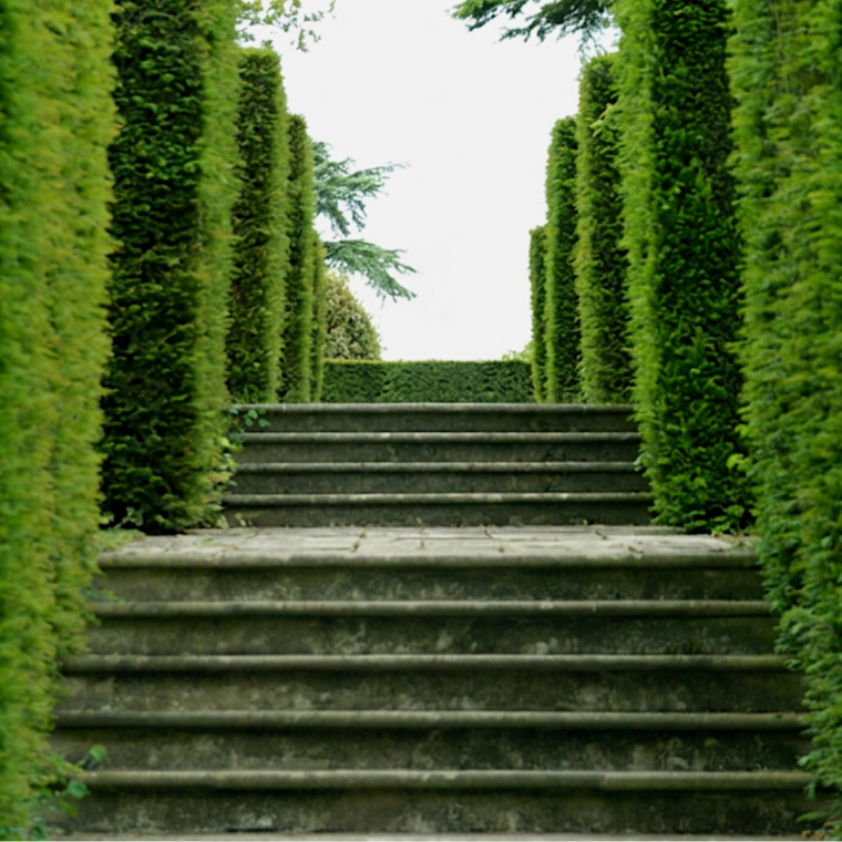 Hedges and stairs