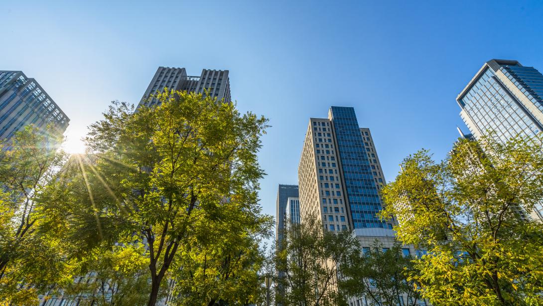 Buildings and trees with the sun bursting through