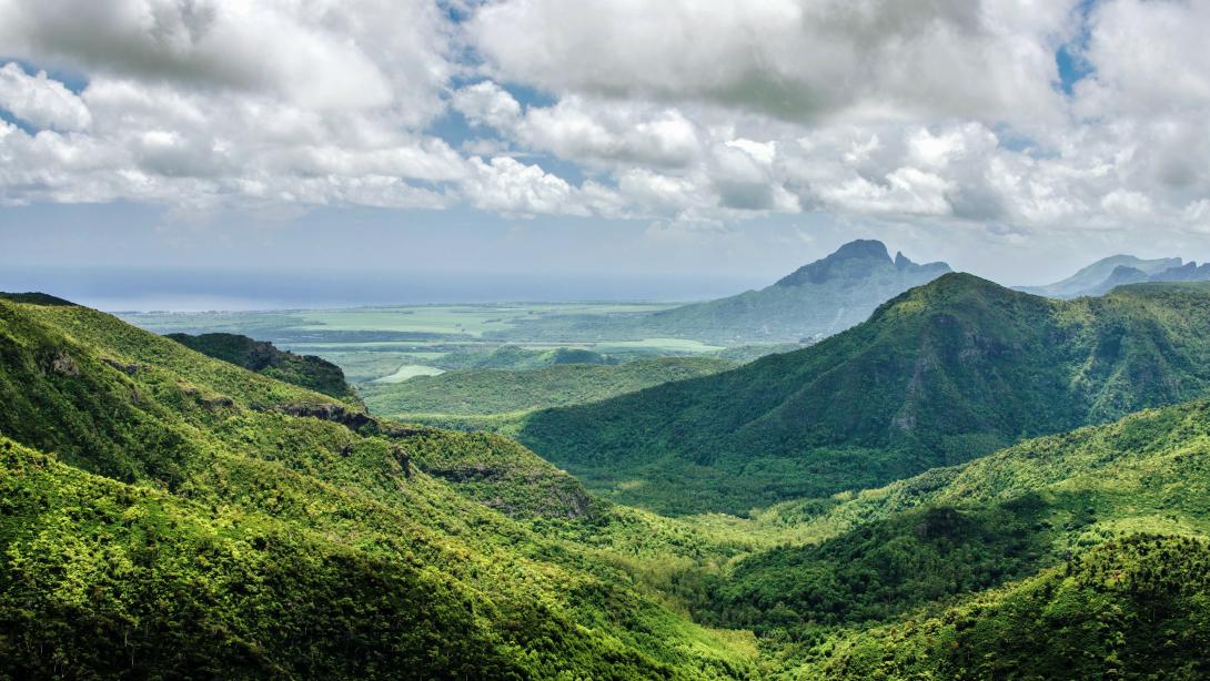Reforestation of the Mauritius' Black River Gorges National Park