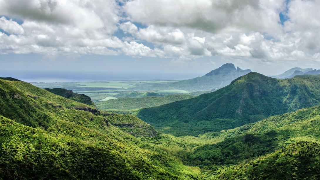 Reforestation of the Mauritius' Black River Gorges National Park