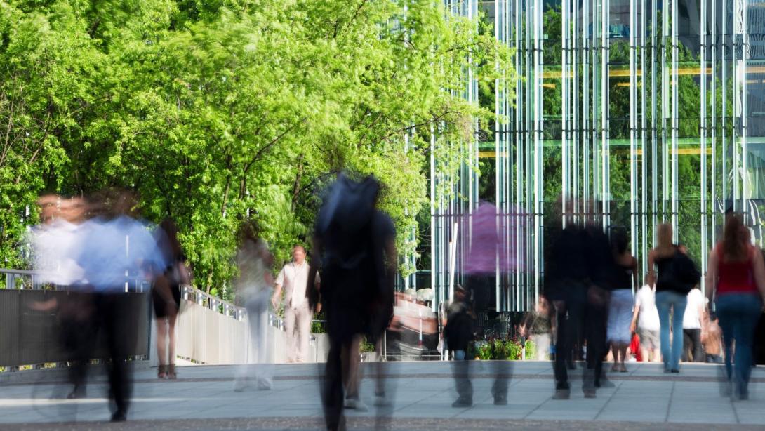 SFDR & SDR webinar: Governance and reporting in Europe