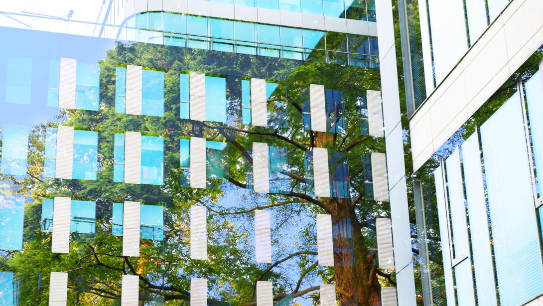 The challenges and best practices of ESG reporting