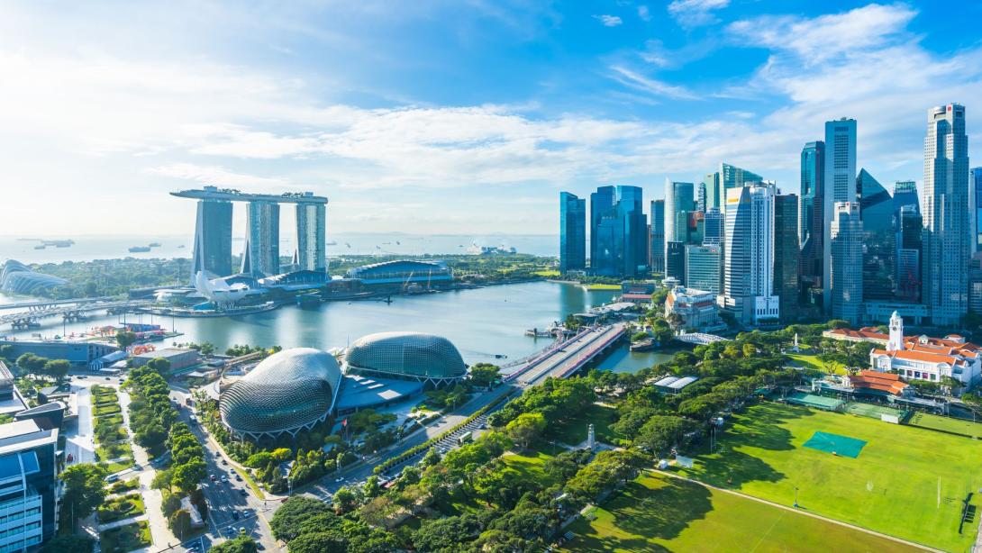 Understanding VCCs in Singapore: a guide for investors