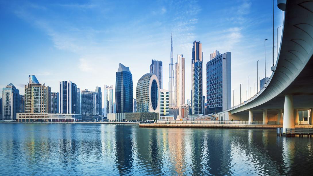 AIMA Middle East Forum