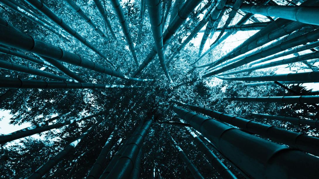Global private equity assets hit record $10.8 trillion following 2022 dip