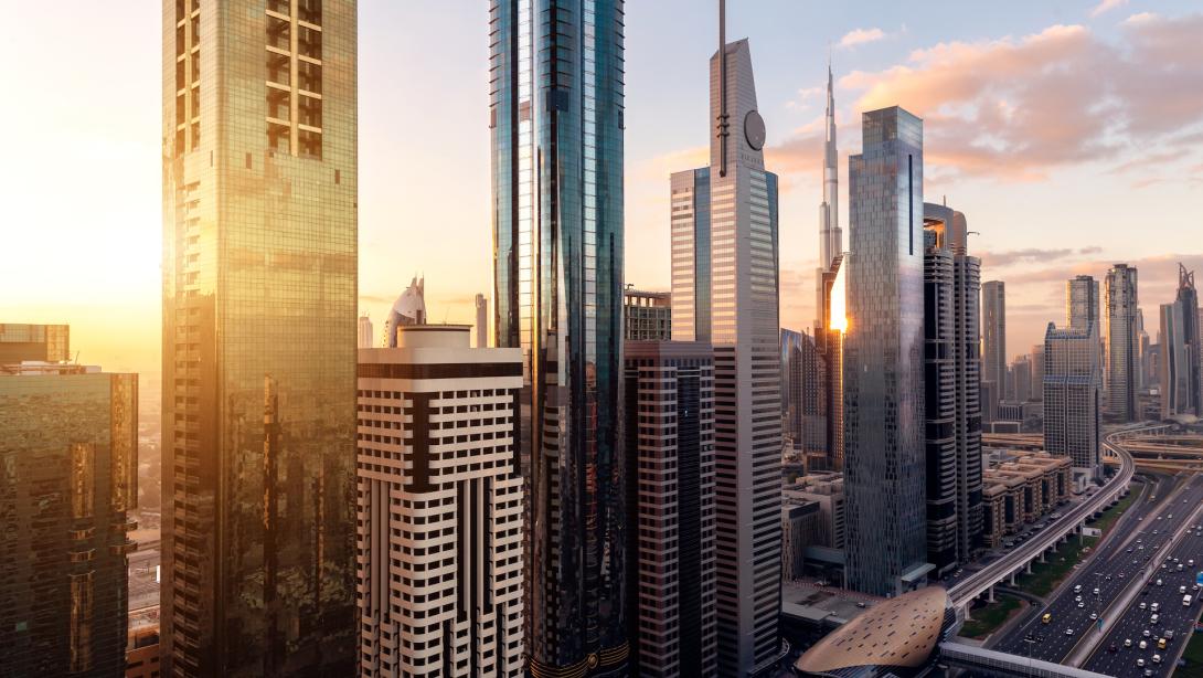 UAE foundation and the importance of non-family council members