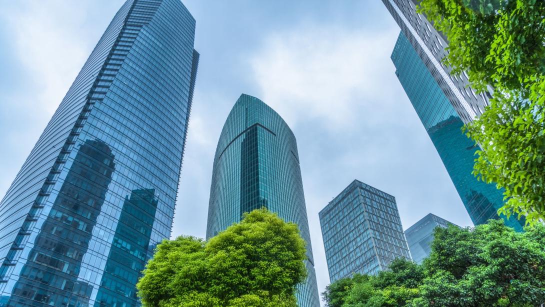 Harnessing carbon credits: The role of SPVs