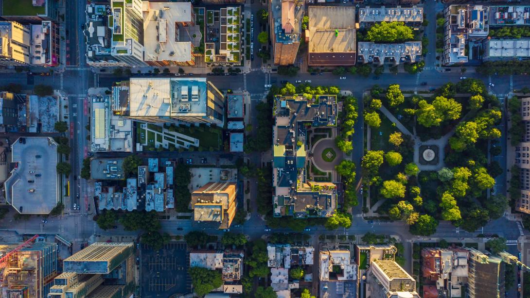 city grid with trees