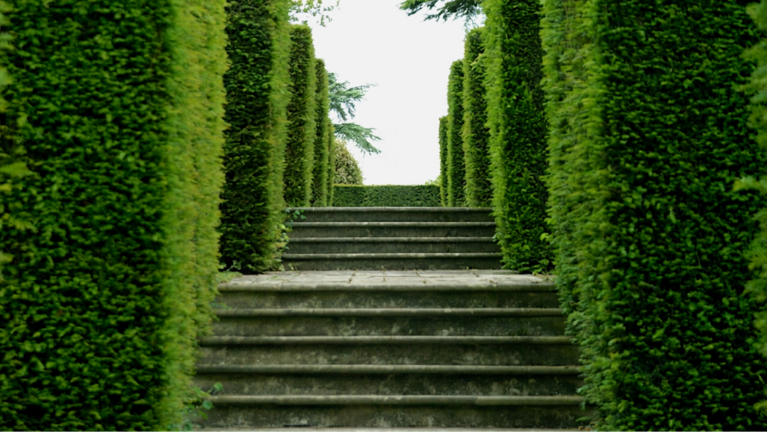 Hedges and stairs